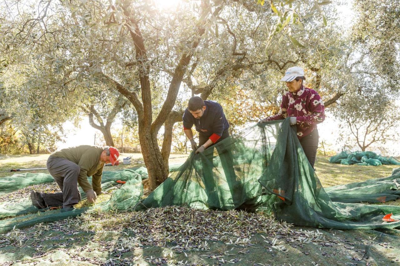 Agriturismo Agricamping Garda Natura Costermano Ngoại thất bức ảnh