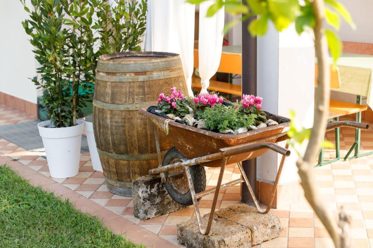 Agriturismo Agricamping Garda Natura Costermano Ngoại thất bức ảnh