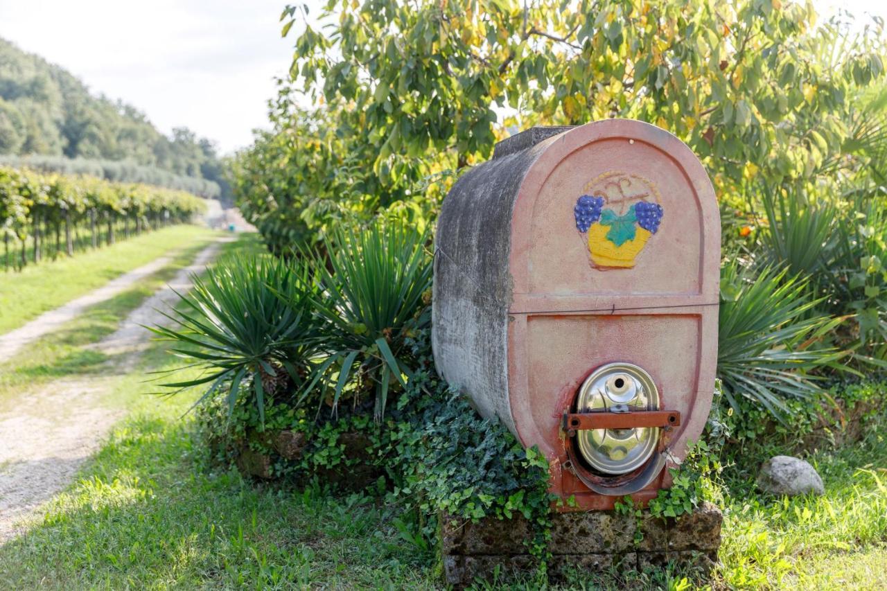 Agriturismo Agricamping Garda Natura Costermano Ngoại thất bức ảnh