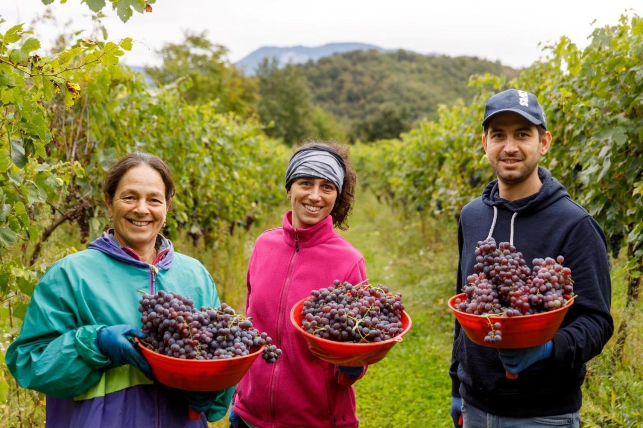 Agriturismo Agricamping Garda Natura Costermano Ngoại thất bức ảnh