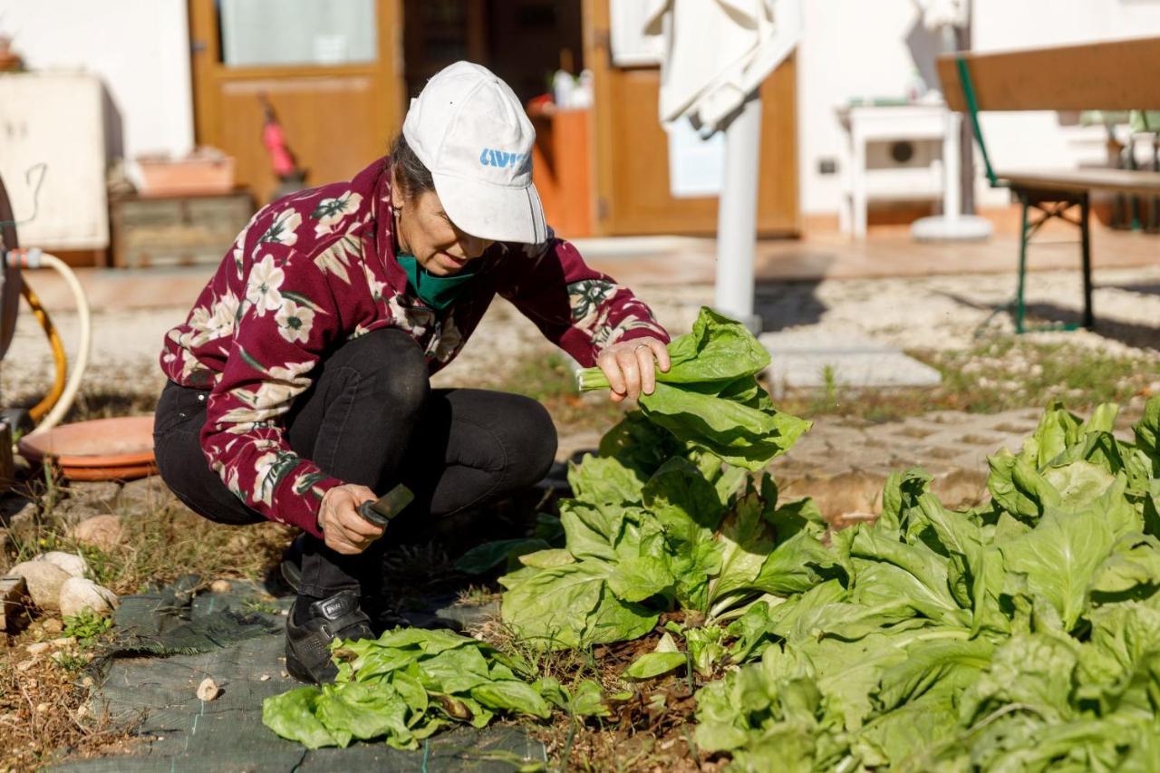 Agriturismo Agricamping Garda Natura Costermano Ngoại thất bức ảnh