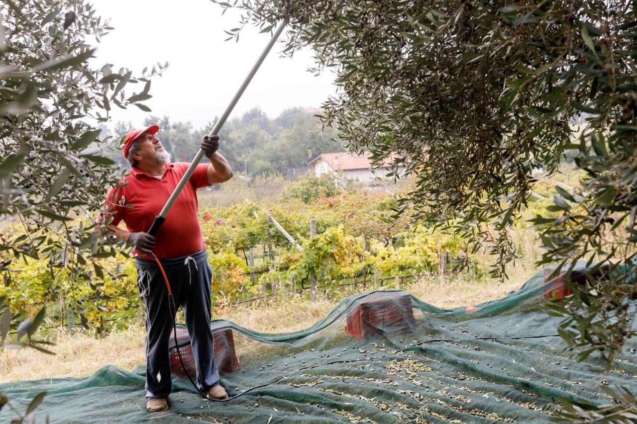 Agriturismo Agricamping Garda Natura Costermano Ngoại thất bức ảnh
